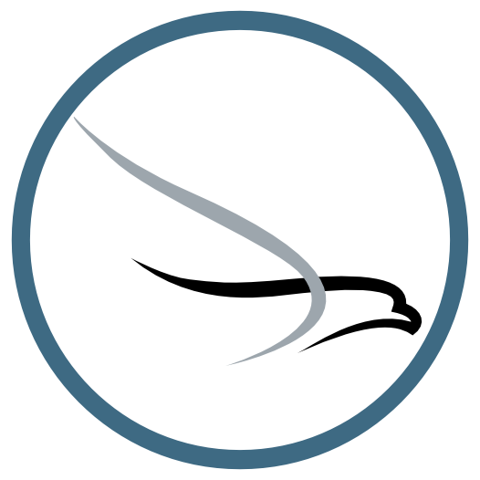Hawkins Flight Academy Logo